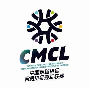 湖州美奇退出2025中冠联赛总决赛，北京灵动星空递补参赛
