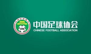 媒体人：足协现在发布公开选聘国足主帅公告，估计已有初步方案