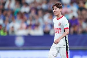 媒体人：韦世豪伤势没啥事，能踢下轮客场与申花队的联赛